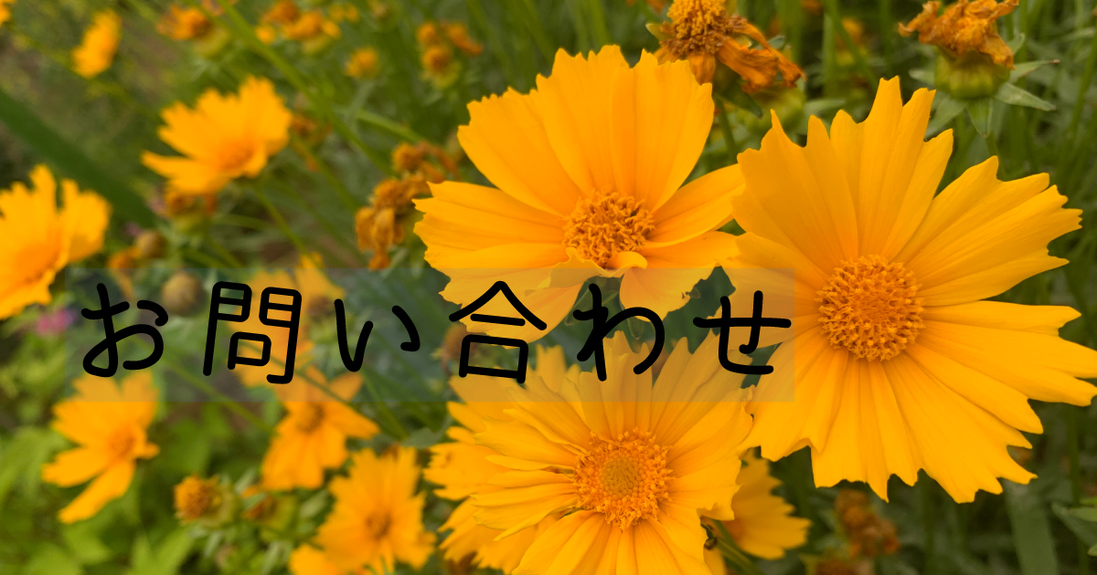 みやのもふもふもちもちブログ　お問い合わせ　フォーム